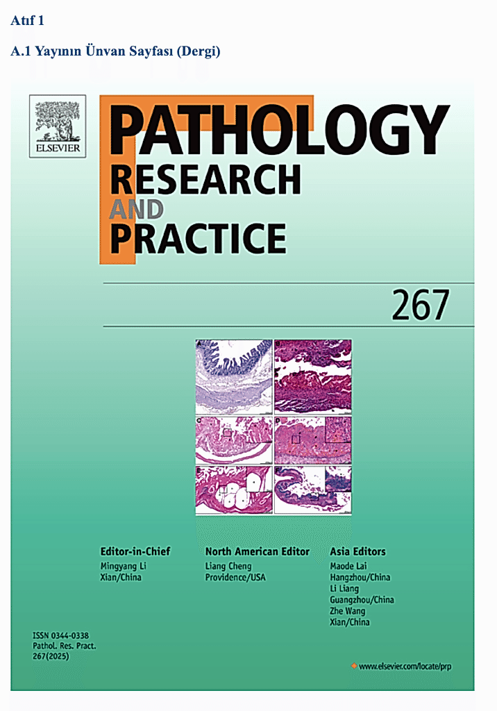 DOÇENTLİK ATIF ÜNVAN SAYFASI